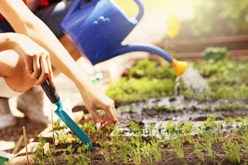 Modern hedge trimmer cutting through lush green hedges