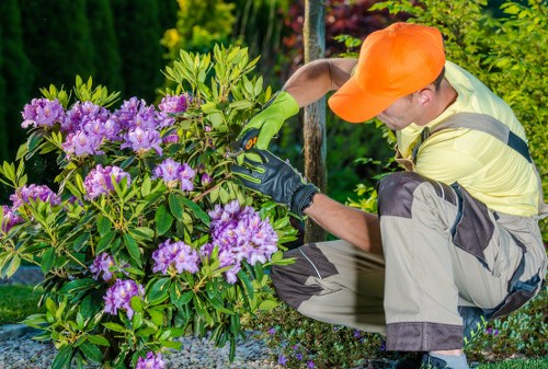 Hedge Trimmer product display