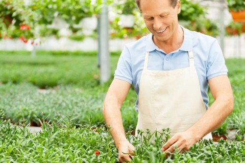 Different types of electric hedge trimmers laid out for comparison