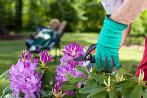 Powerful gas-powered hedge trimmer in action