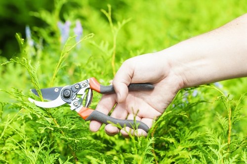 Gardener using a lightweight hedge trimmer in the garden